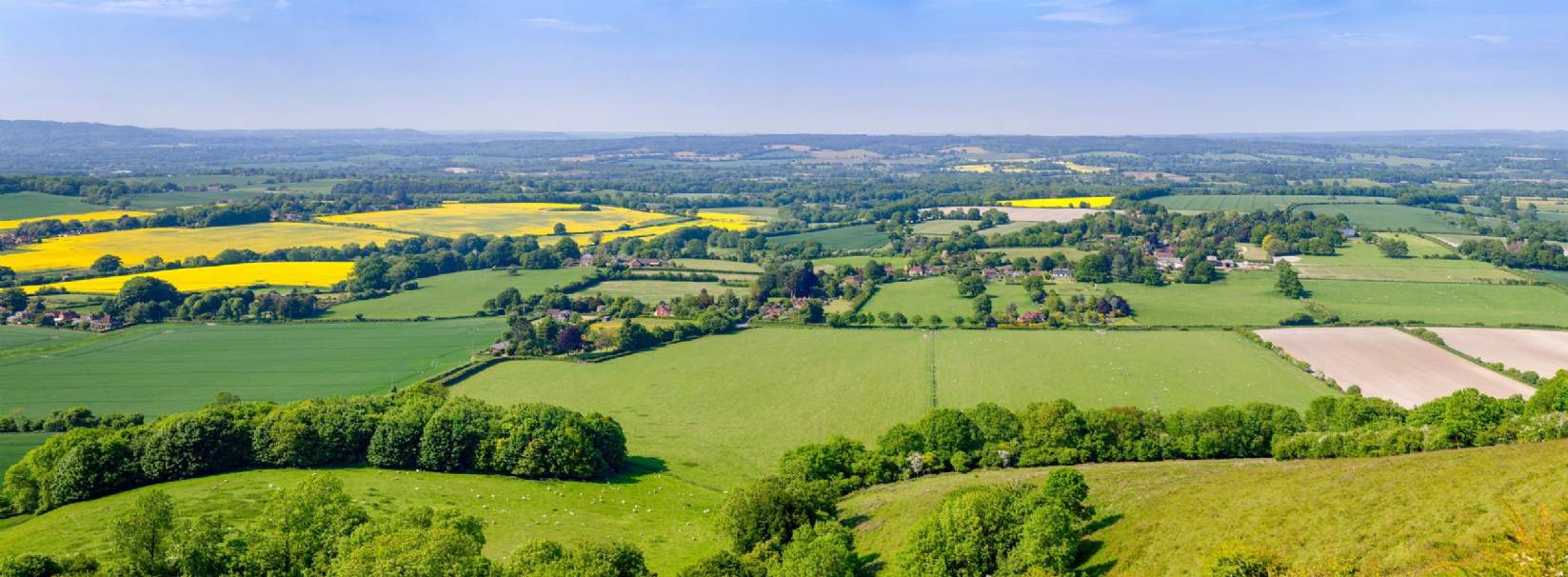  Estate Administration Planning Zimbabwe