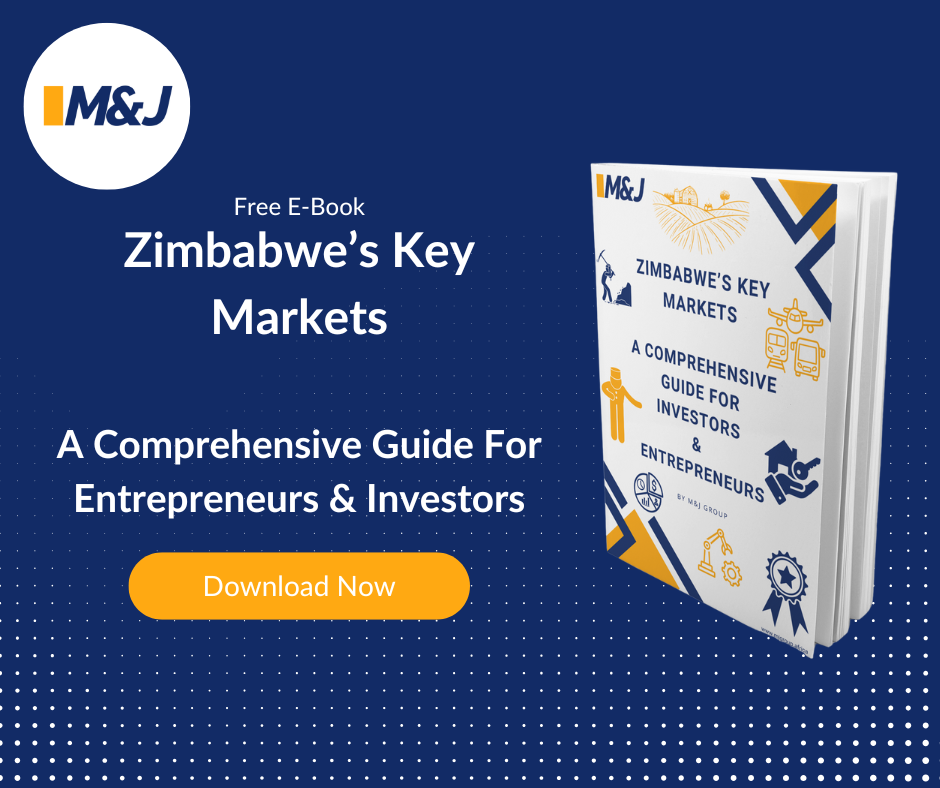 The Guide To Investing In Zimbabwe [FREE PDF]